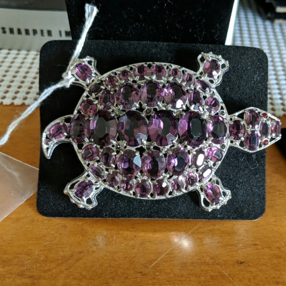 Turtle broach